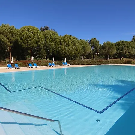 Dolce Cd 81 - Clever Details *